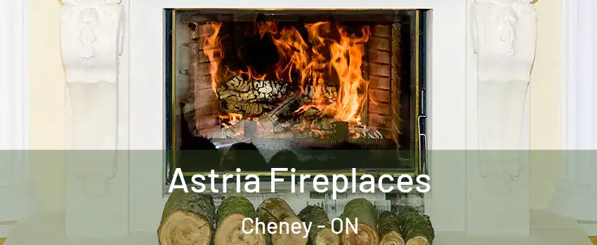  Astria Fireplaces Cheney - ON