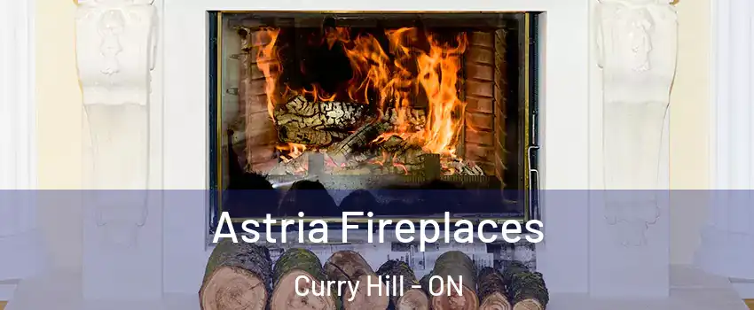  Astria Fireplaces Curry Hill - ON