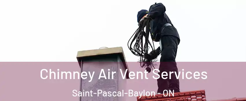  Chimney Air Vent Services Saint-Pascal-Baylon - ON