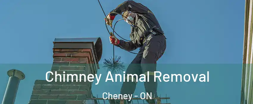 Chimney Animal Removal Cheney - ON