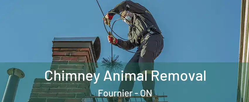 Chimney Animal Removal Fournier - ON
