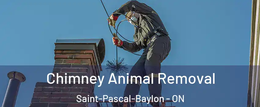 Chimney Animal Removal Saint-Pascal-Baylon - ON