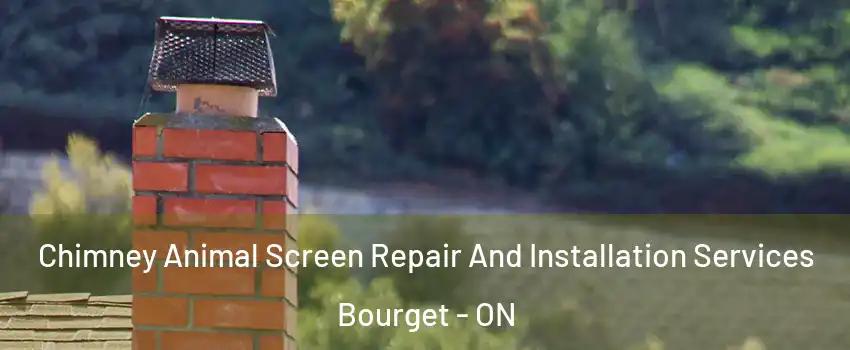  Chimney Animal Screen Repair And Installation Services Bourget - ON