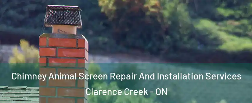  Chimney Animal Screen Repair And Installation Services Clarence Creek - ON