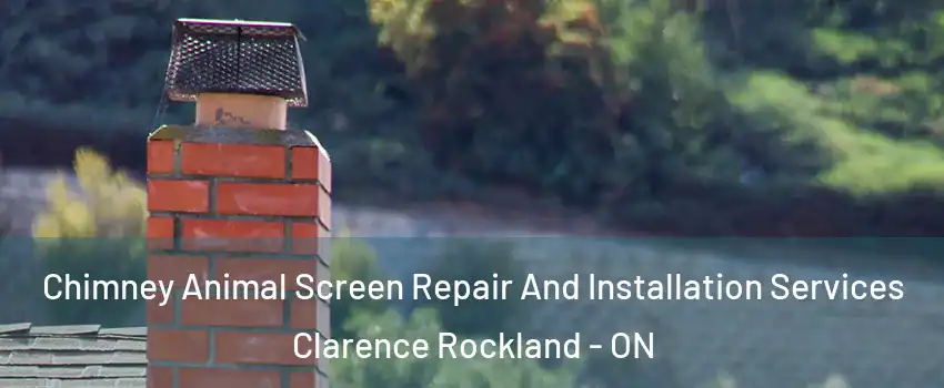  Chimney Animal Screen Repair And Installation Services Clarence Rockland - ON