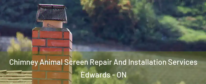 Chimney Animal Screen Repair And Installation Services Edwards - ON