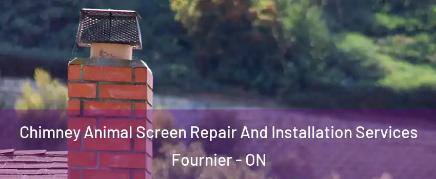  Chimney Animal Screen Repair And Installation Services Fournier - ON