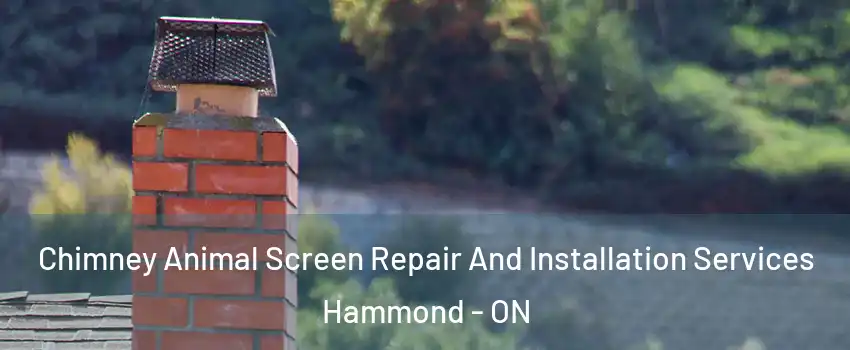  Chimney Animal Screen Repair And Installation Services Hammond - ON
