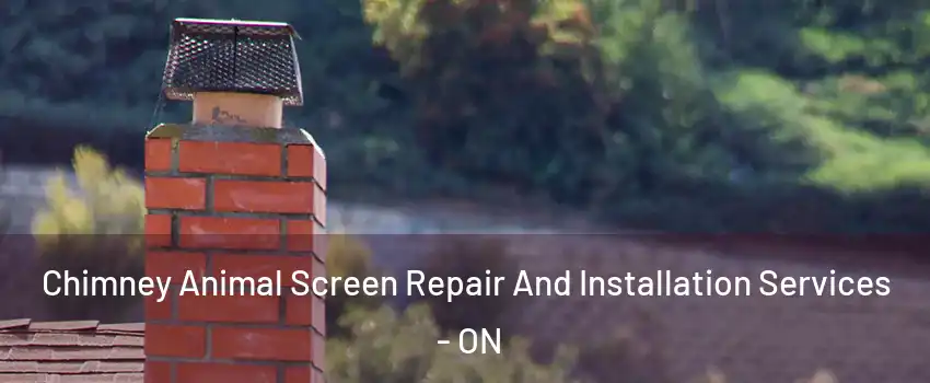  Chimney Animal Screen Repair And Installation Services - ON