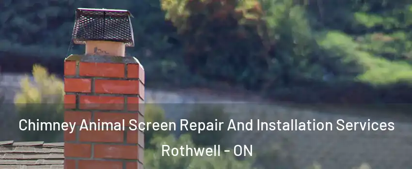  Chimney Animal Screen Repair And Installation Services Rothwell - ON