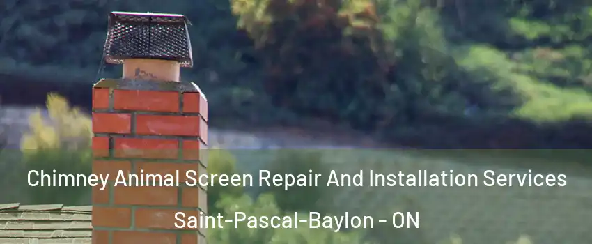  Chimney Animal Screen Repair And Installation Services Saint-Pascal-Baylon - ON