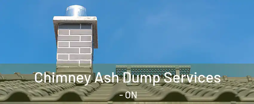  Chimney Ash Dump Services - ON