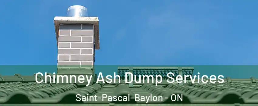  Chimney Ash Dump Services Saint-Pascal-Baylon - ON