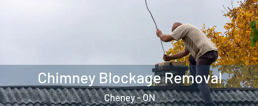  Chimney Blockage Removal Cheney - ON