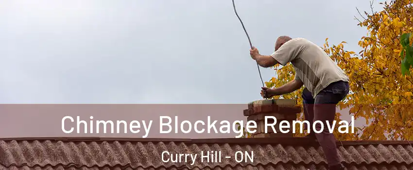  Chimney Blockage Removal Curry Hill - ON