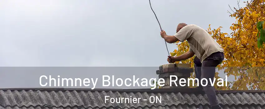 Chimney Blockage Removal Fournier - ON