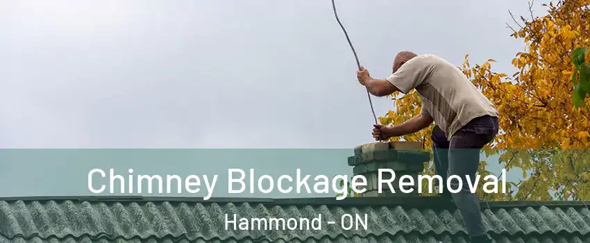  Chimney Blockage Removal Hammond - ON