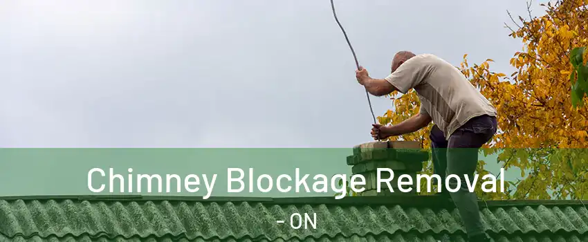  Chimney Blockage Removal - ON