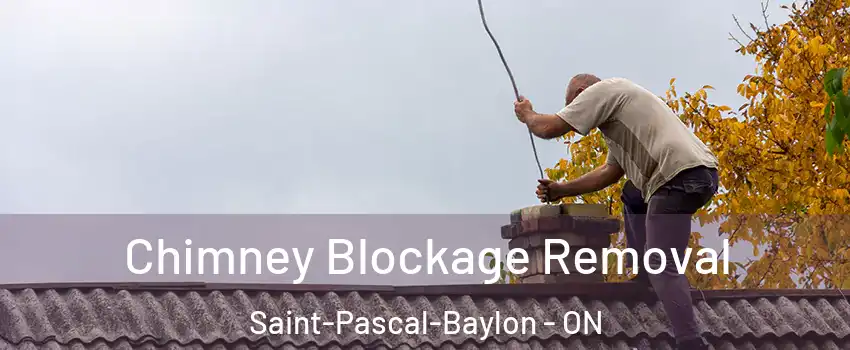  Chimney Blockage Removal Saint-Pascal-Baylon - ON