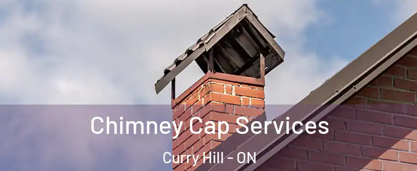  Chimney Cap Services Curry Hill - ON