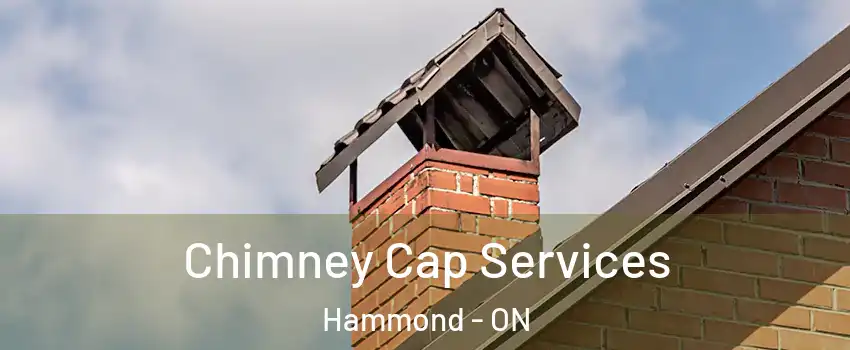  Chimney Cap Services Hammond - ON