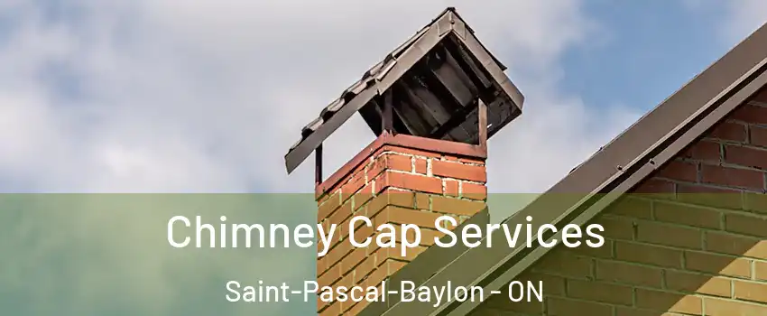  Chimney Cap Services Saint-Pascal-Baylon - ON