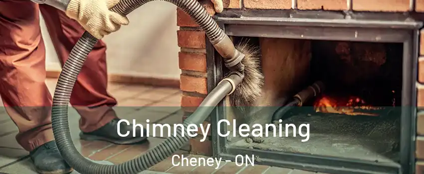  Chimney Cleaning Cheney - ON