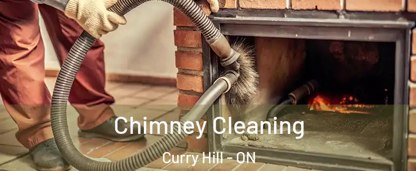  Chimney Cleaning Curry Hill - ON