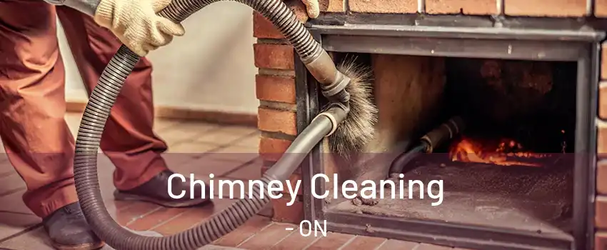  Chimney Cleaning - ON
