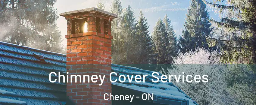  Chimney Cover Services Cheney - ON