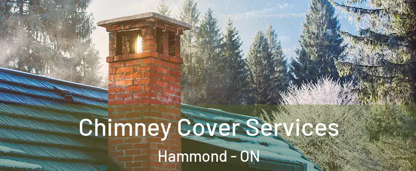  Chimney Cover Services Hammond - ON