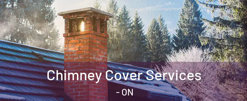  Chimney Cover Services - ON
