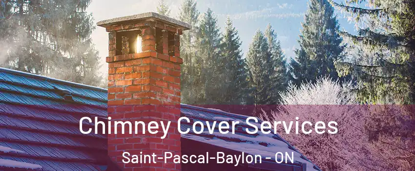 Chimney Cover Services Saint-Pascal-Baylon - ON