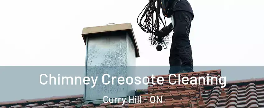  Chimney Creosote Cleaning Curry Hill - ON