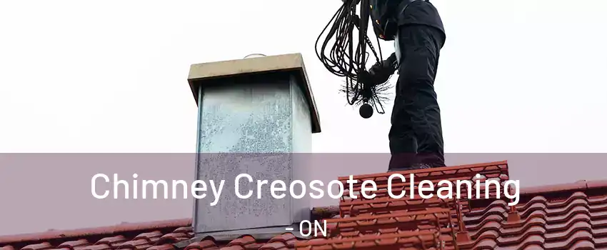  Chimney Creosote Cleaning - ON