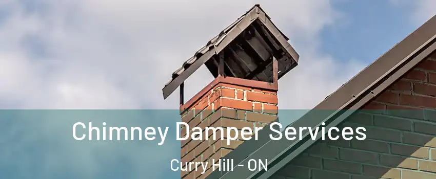  Chimney Damper Services Curry Hill - ON