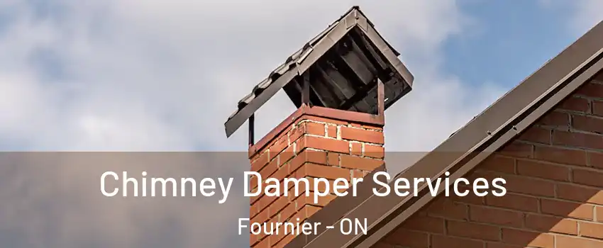  Chimney Damper Services Fournier - ON