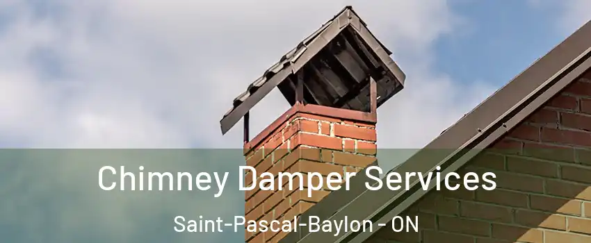  Chimney Damper Services Saint-Pascal-Baylon - ON