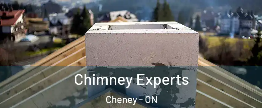 Chimney Experts Cheney - ON