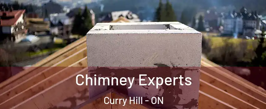 Chimney Experts Curry Hill - ON