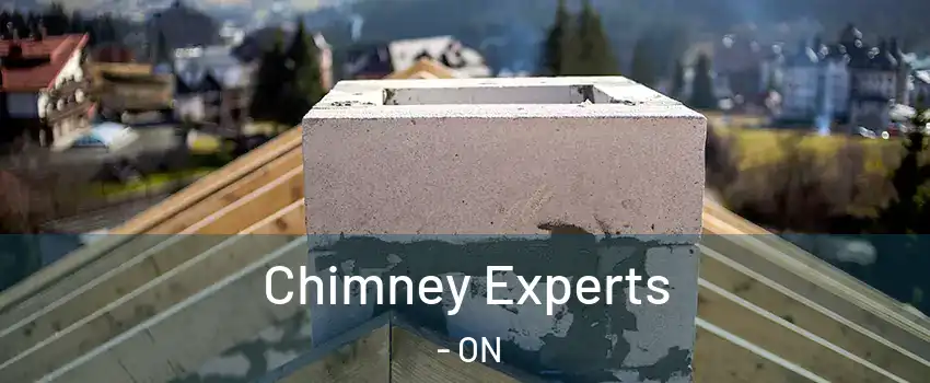 Chimney Experts - ON