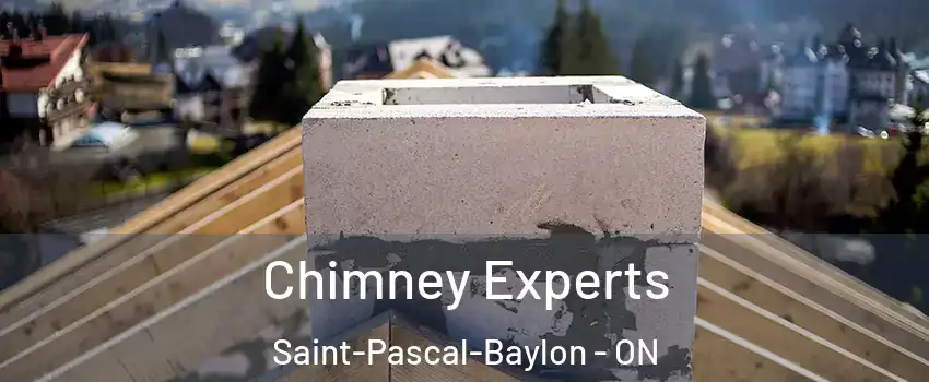 Chimney Experts Saint-Pascal-Baylon - ON