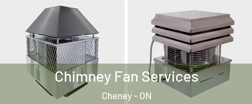  Chimney Fan Services Cheney - ON