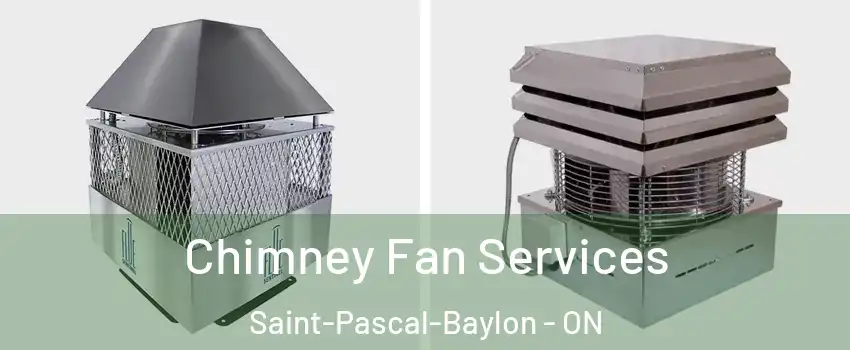  Chimney Fan Services Saint-Pascal-Baylon - ON
