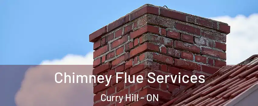  Chimney Flue Services Curry Hill - ON
