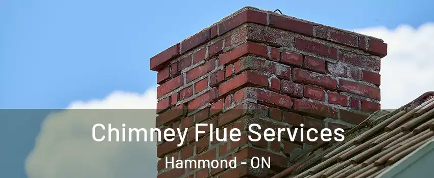  Chimney Flue Services Hammond - ON