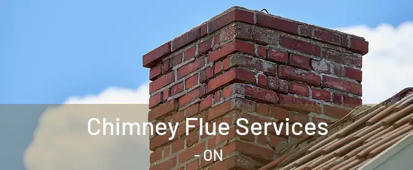  Chimney Flue Services - ON