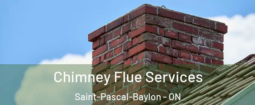  Chimney Flue Services Saint-Pascal-Baylon - ON