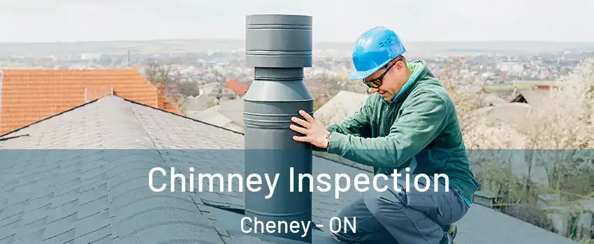  Chimney Inspection Cheney - ON