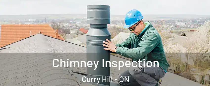  Chimney Inspection Curry Hill - ON